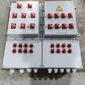 多回路開關(guān)按鈕防爆配電箱